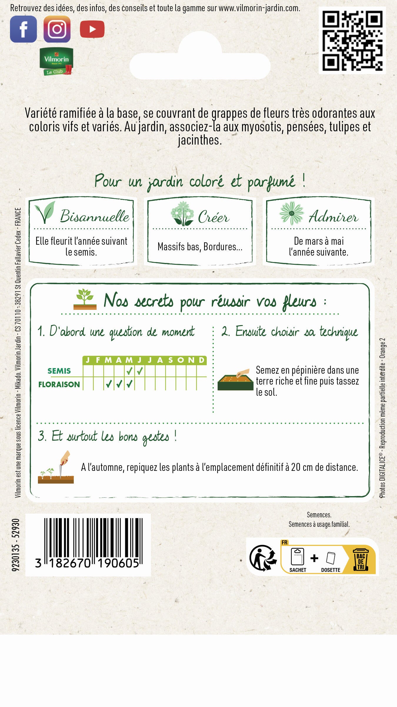 Giroflée ravenelle simple VILMORIN 1.5 g - 2