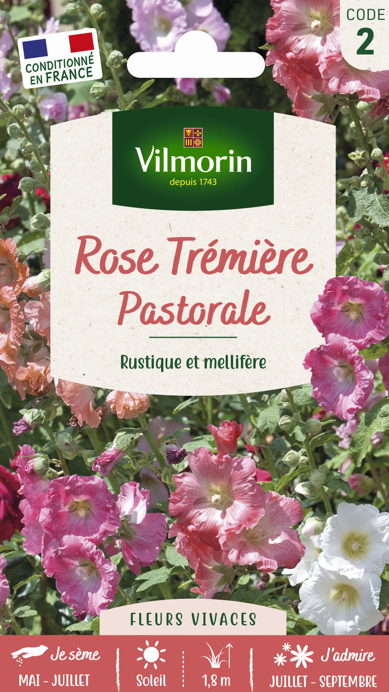 Rose tremière pastorale varié Leroy Merlin — free download