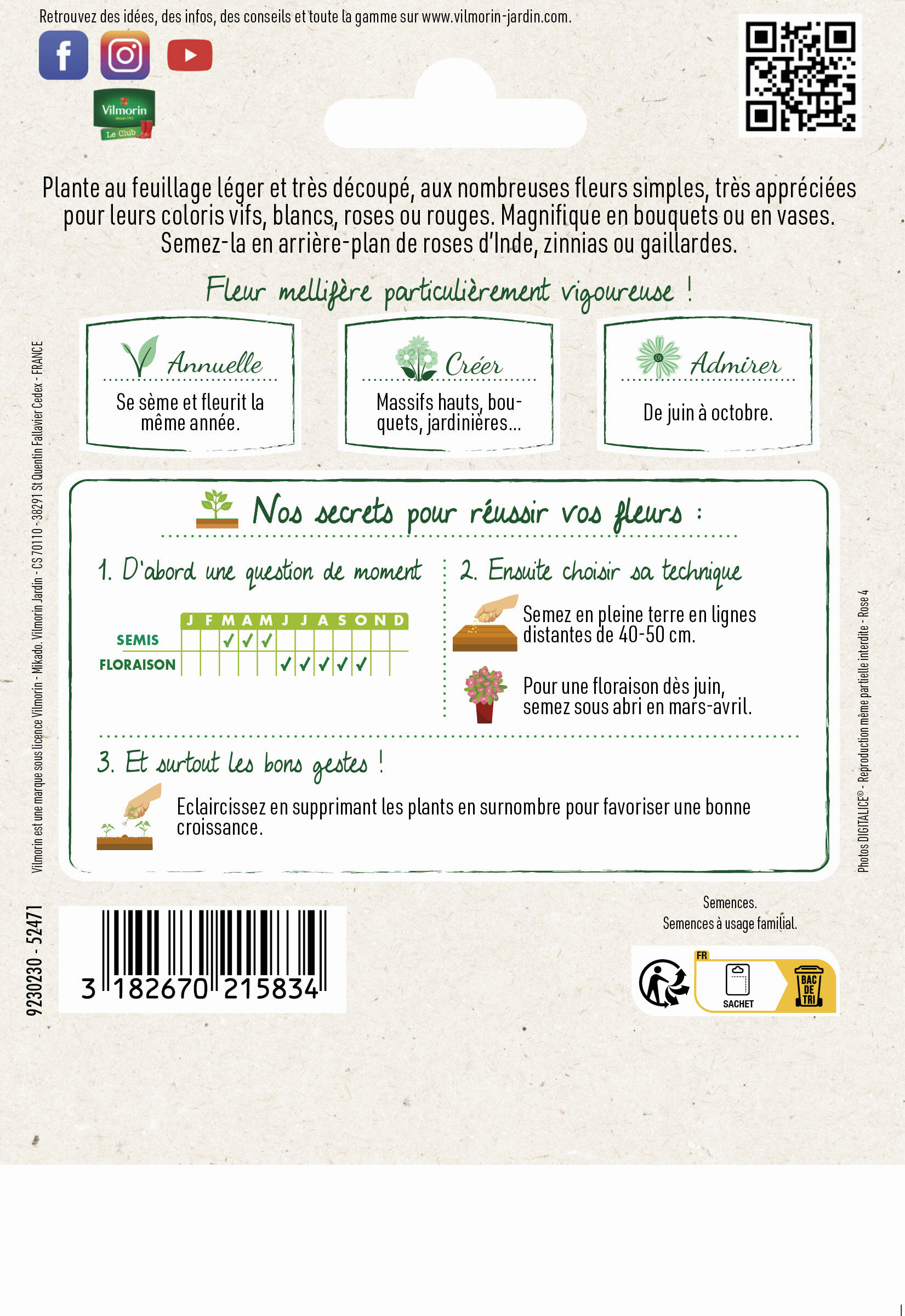 Cosmos sensation multicolore - 2