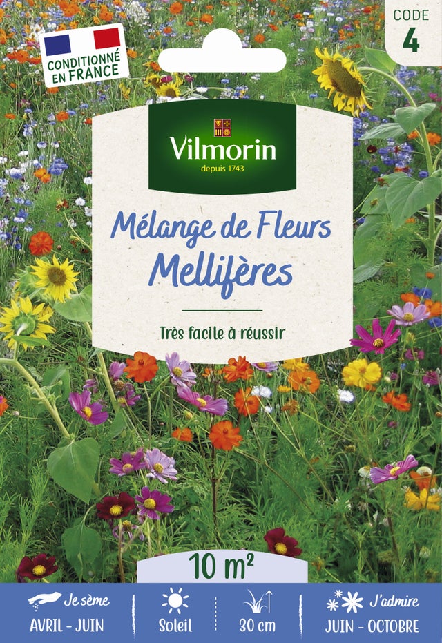 Mélange De Graines Fleuries Champêtres - 10 M² - Pour Jardinière Ou Massif, Floraison De L'été à L'automne