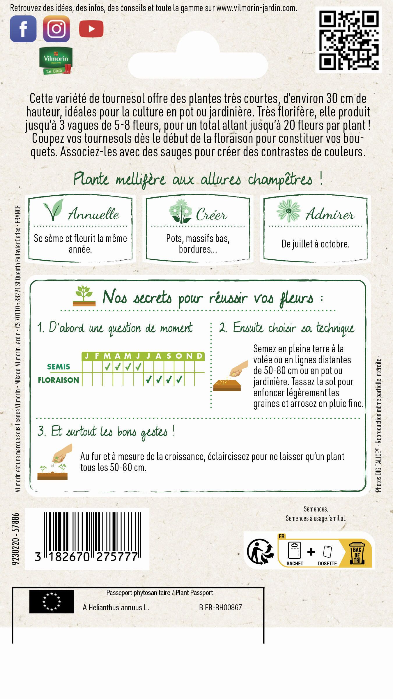 Graines de tournesol suntastic VILMORIN 1 g - 2