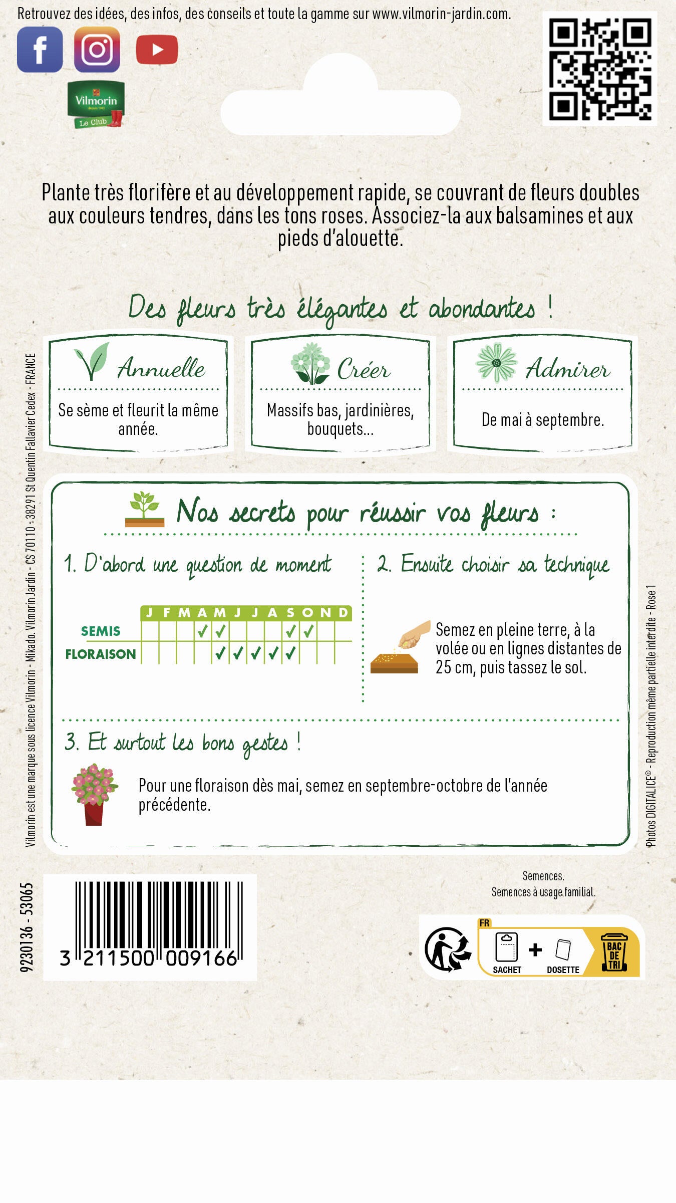 Godetia double à fleurs d'azalée varié - 2