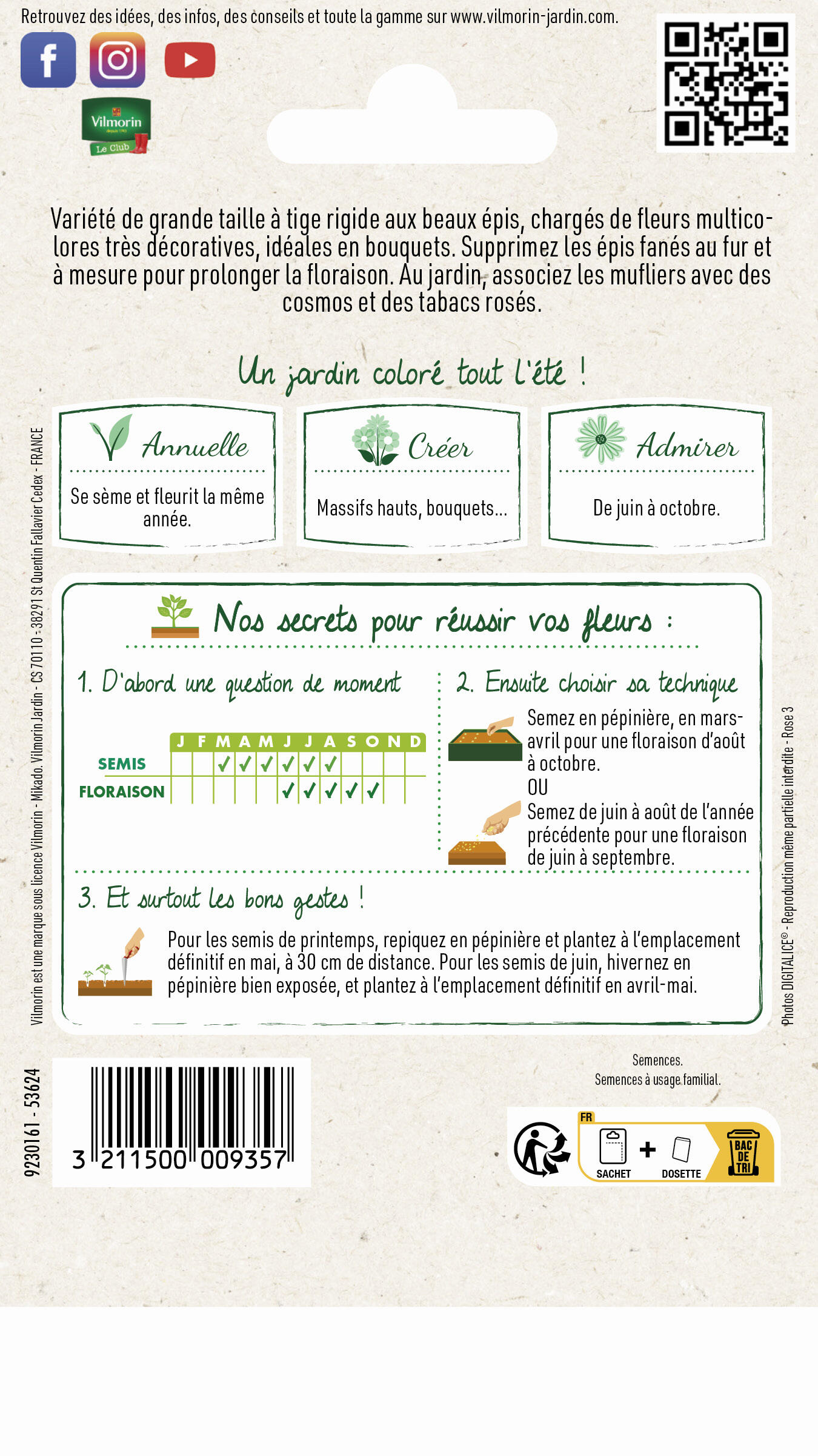 Muflier grand'loup multicolore - 2