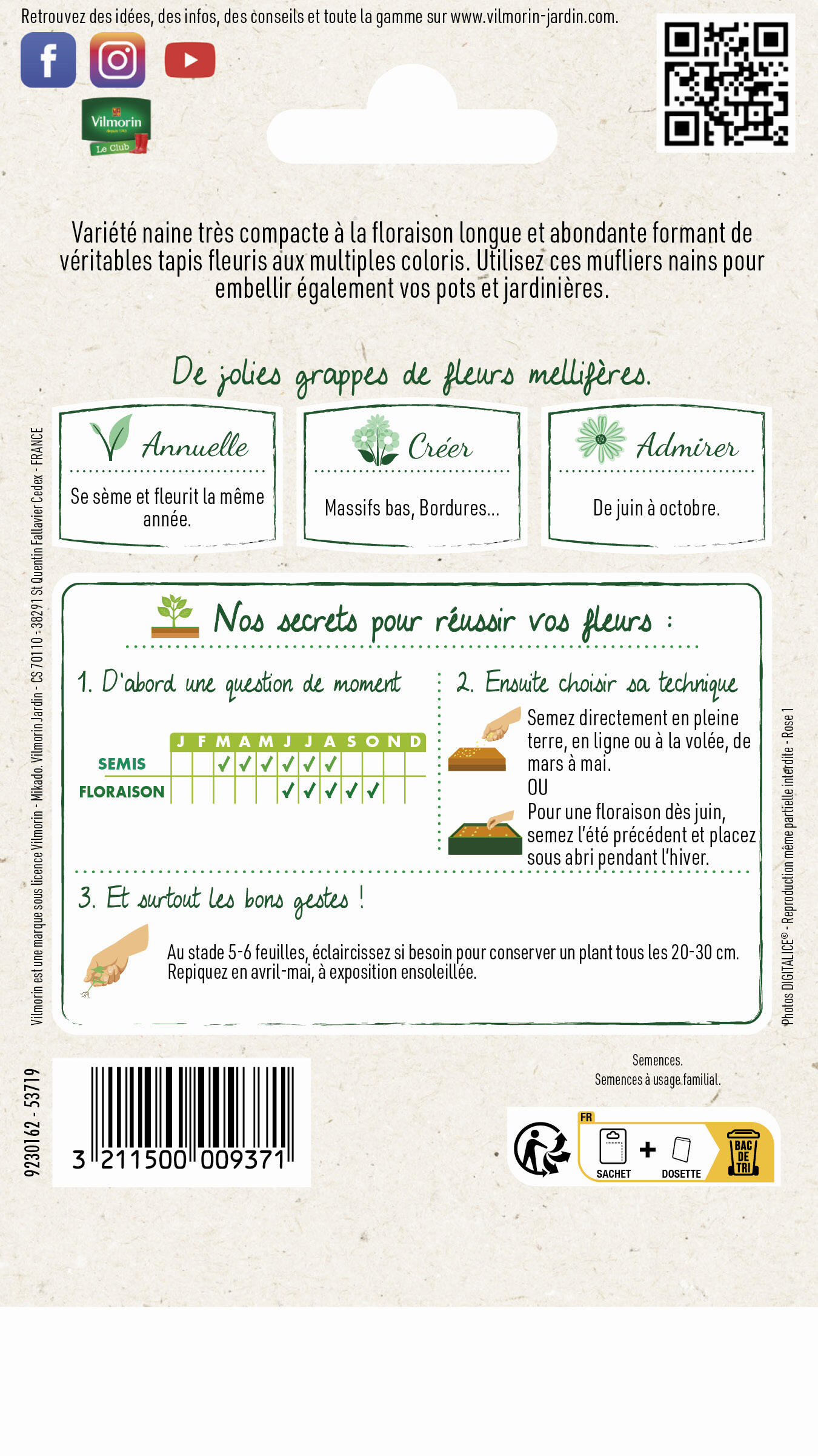 Muflier tom pouce multicolore - 2
