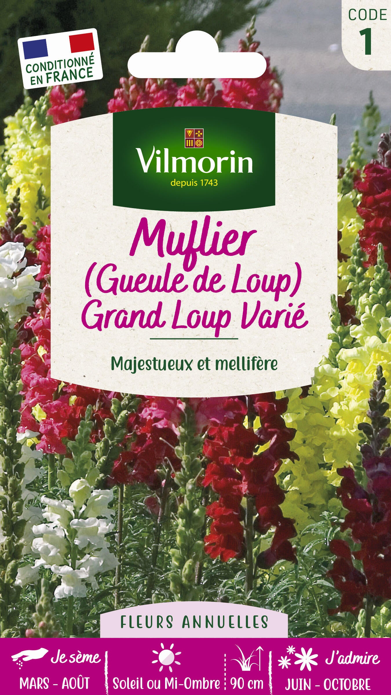 Graines Fleurs Lupin Géant De Russell - Sachet 25 Graines, Vivace Hauteur 1m, Floraison Colorée Massif Ou Bouquet - 5