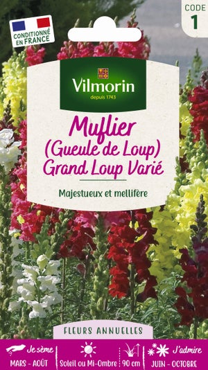Graines De Lupin Géant De Russell - Sachet De 25 Graines - Vivace, Hauteur 1 M - Fleurs Colorées Pour Massifs