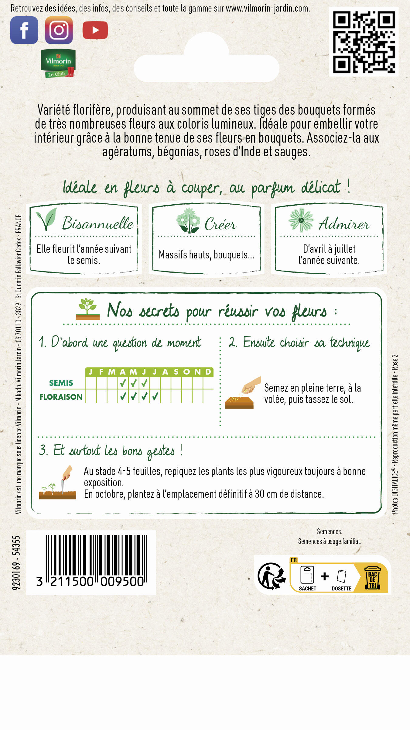 Oeillet poéte hirondelle varié - 2