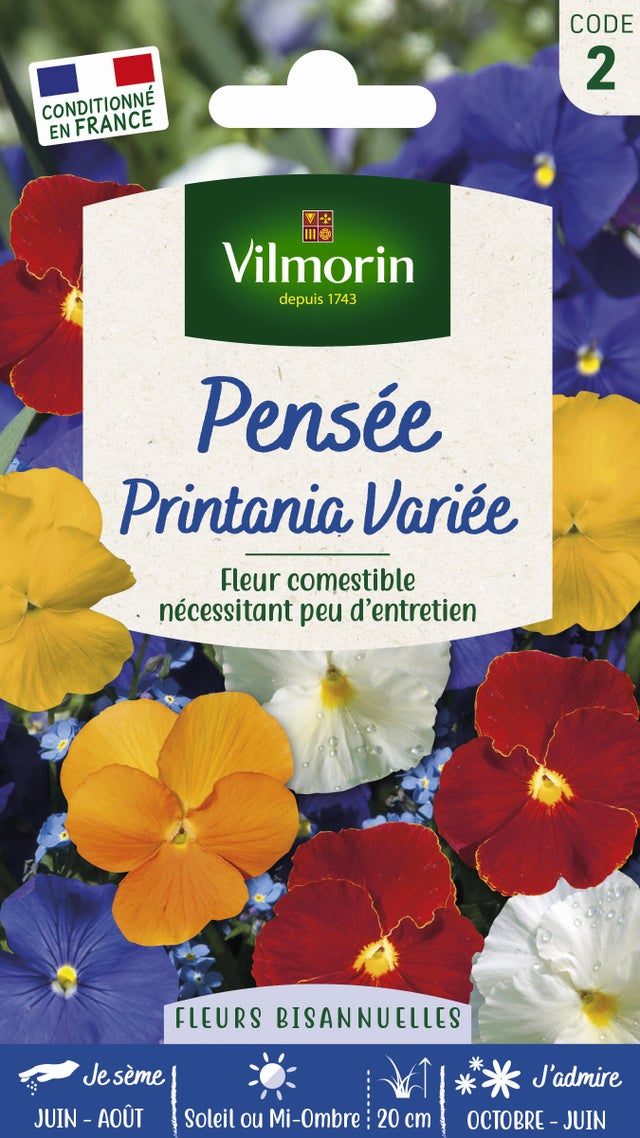 Graine de pensées au meilleur prix Leroy Merlin — free download