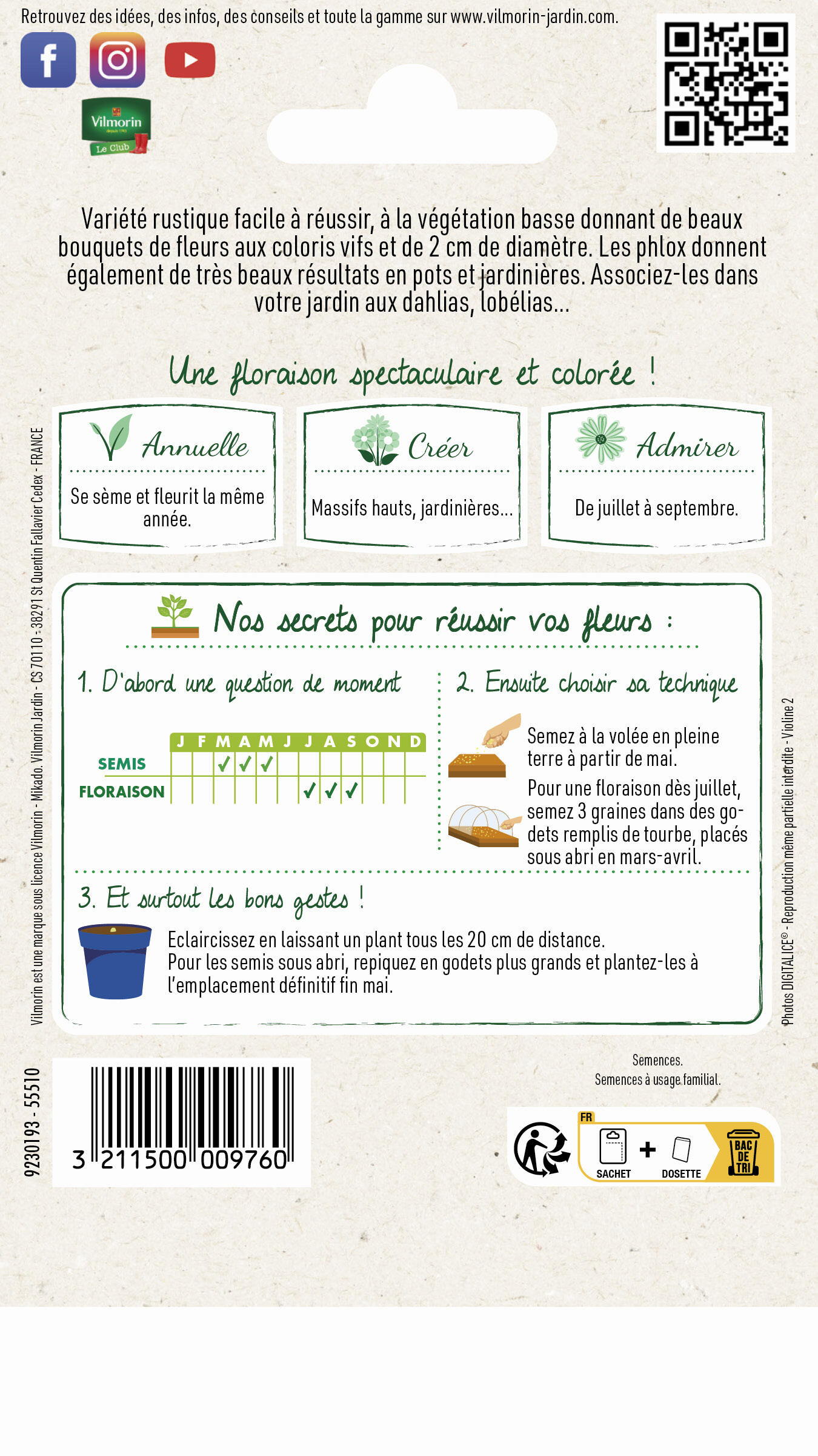 Phlox de drummond à grandes fleurs varié - 2