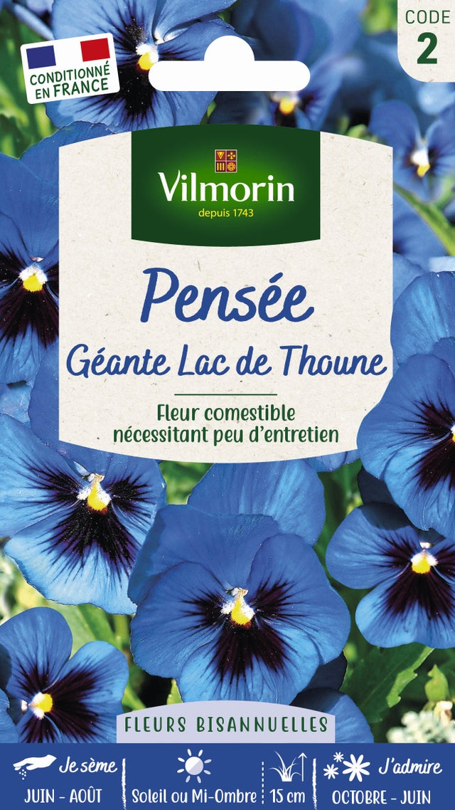 Graine de pensée au meilleur prix Leroy Merlin — free download
