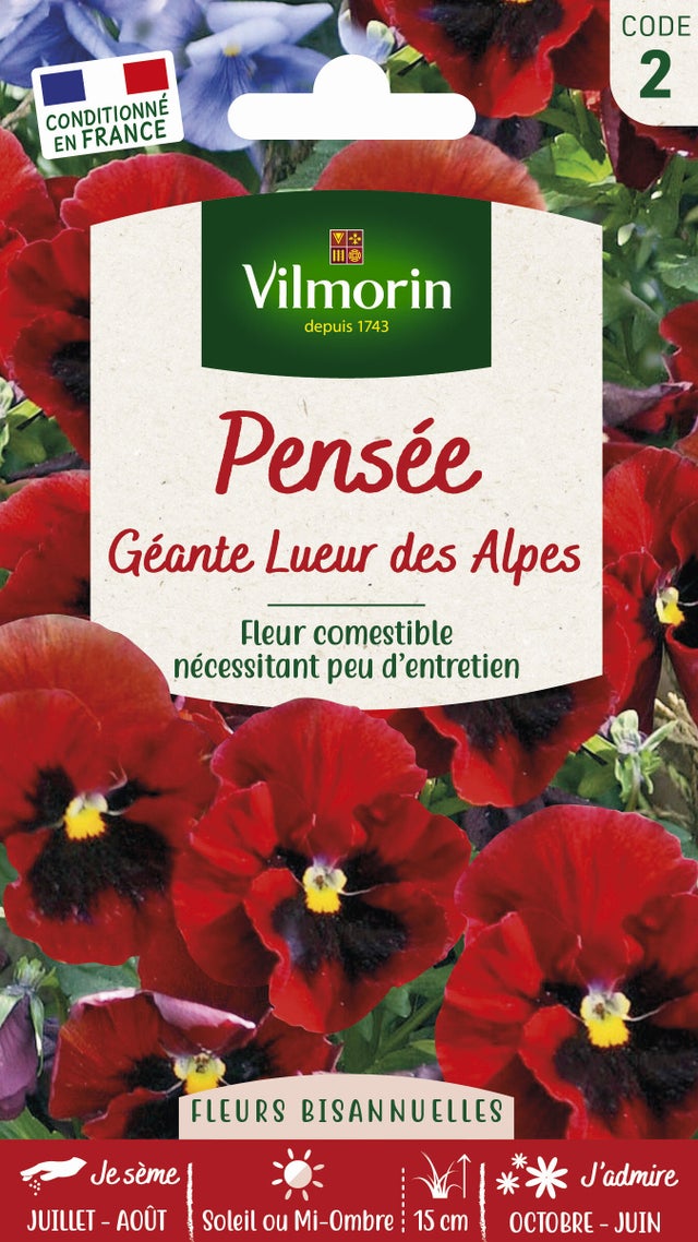 Graine de pensées au meilleur prix Leroy Merlin — free download