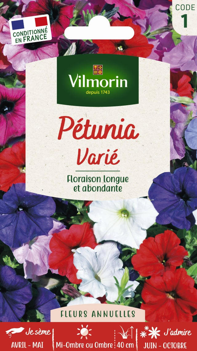 Graine de petunia au meilleur prix Leroy Merlin — free download