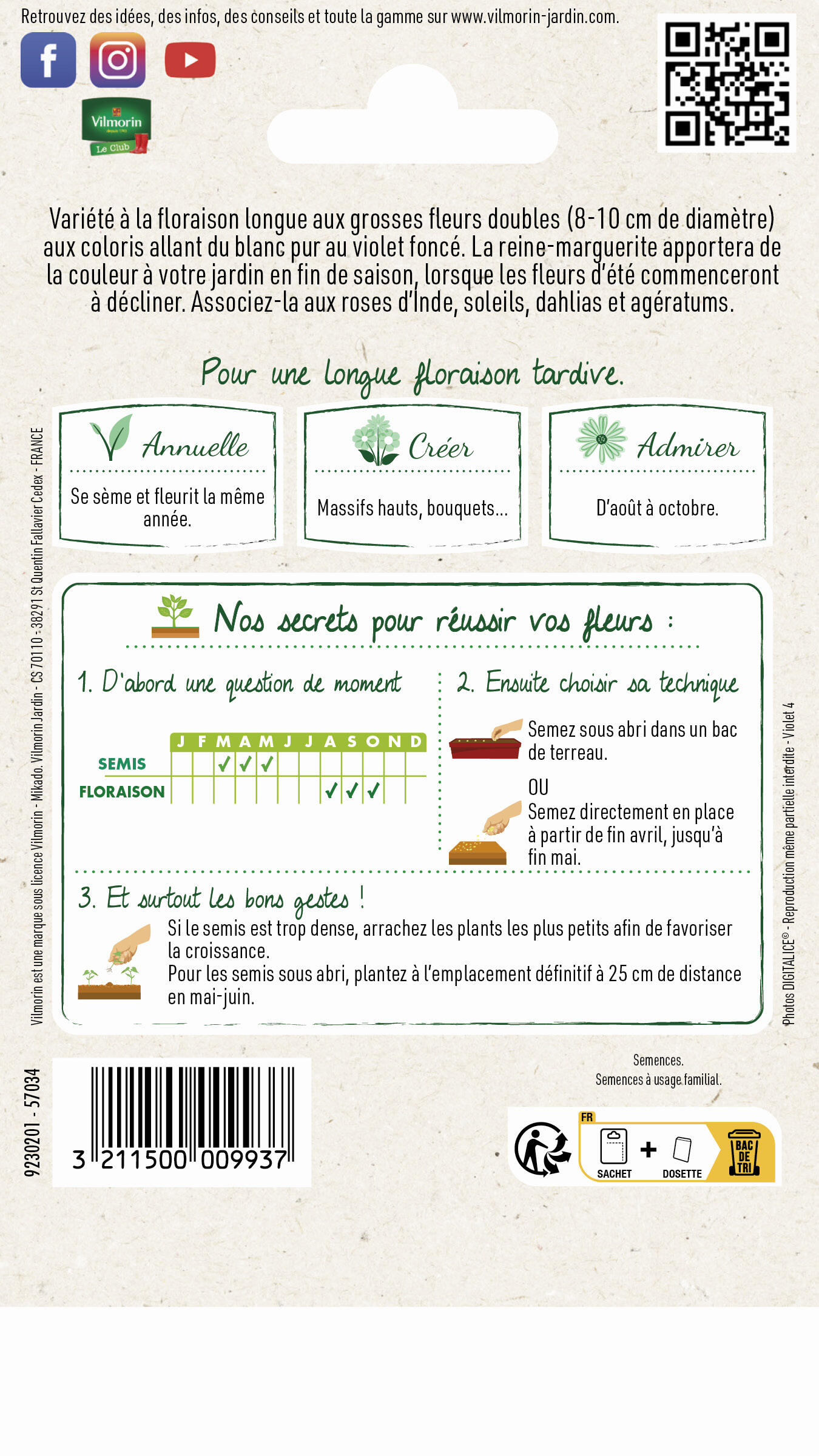 Reine marguerite beauté varié - 2