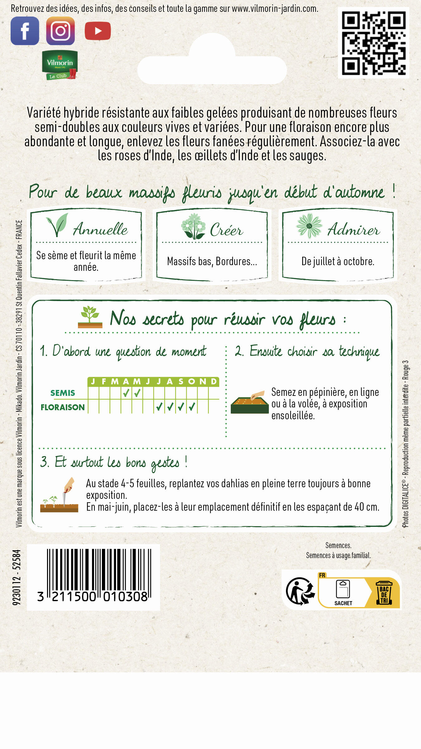 Dahlia unwin multicolore - 2