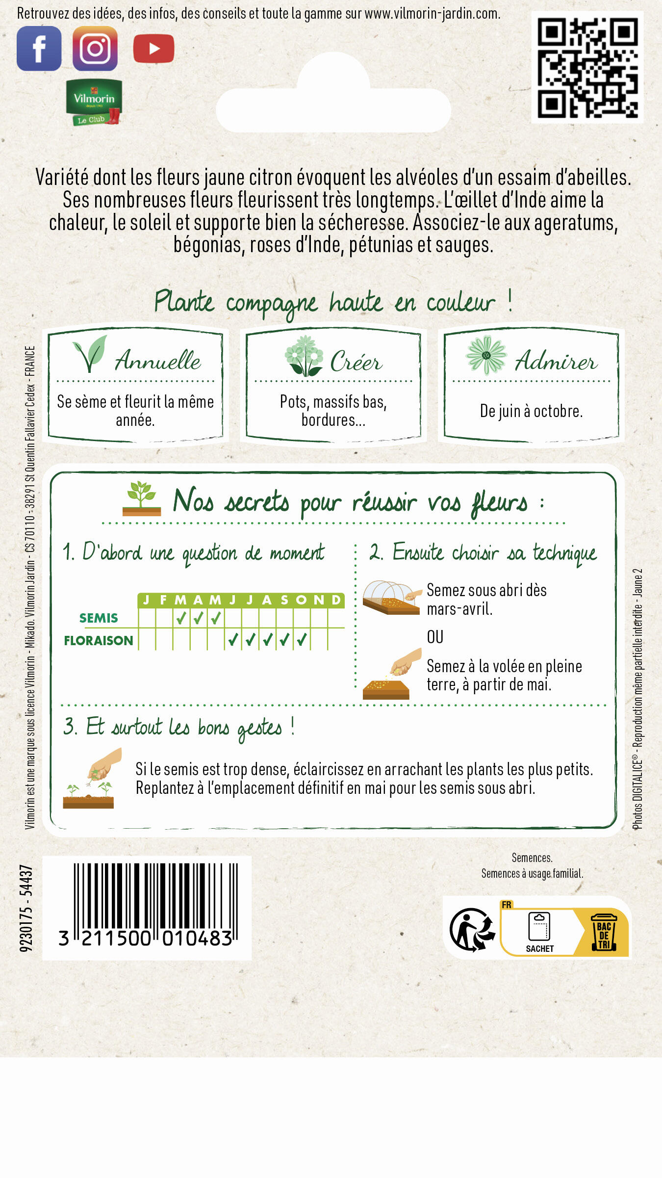 Œillet d'Inde globe citron jaune - 2