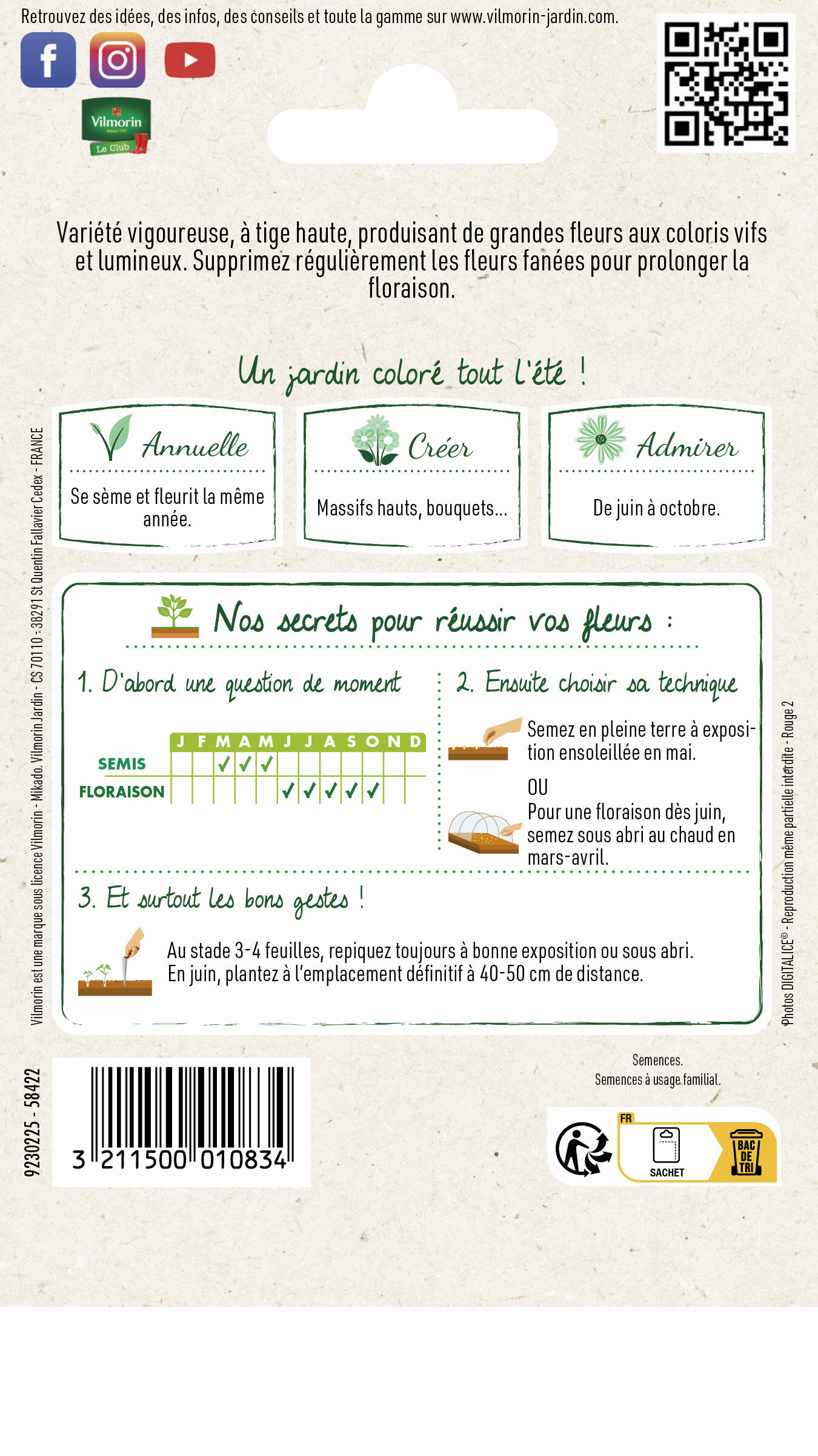 Zinnia géant de californie varié - 2