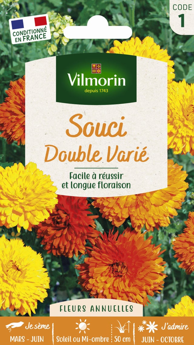 Souci double varié jaune