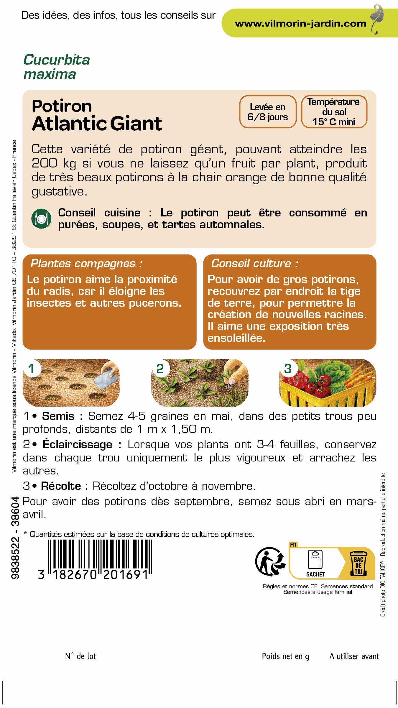 Graines VILMORIN 3 g - 2