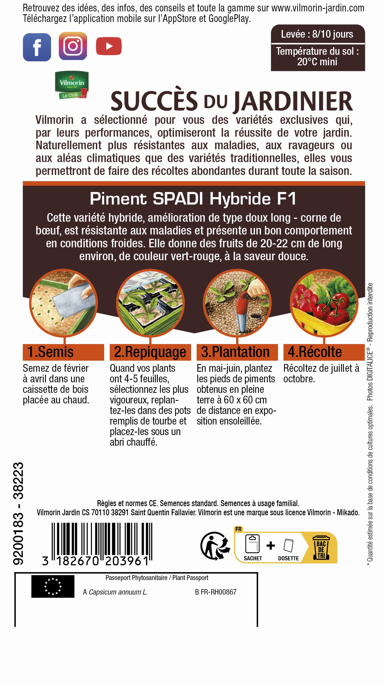 Piment doux spadi VILMORIN 0.3 g - 2