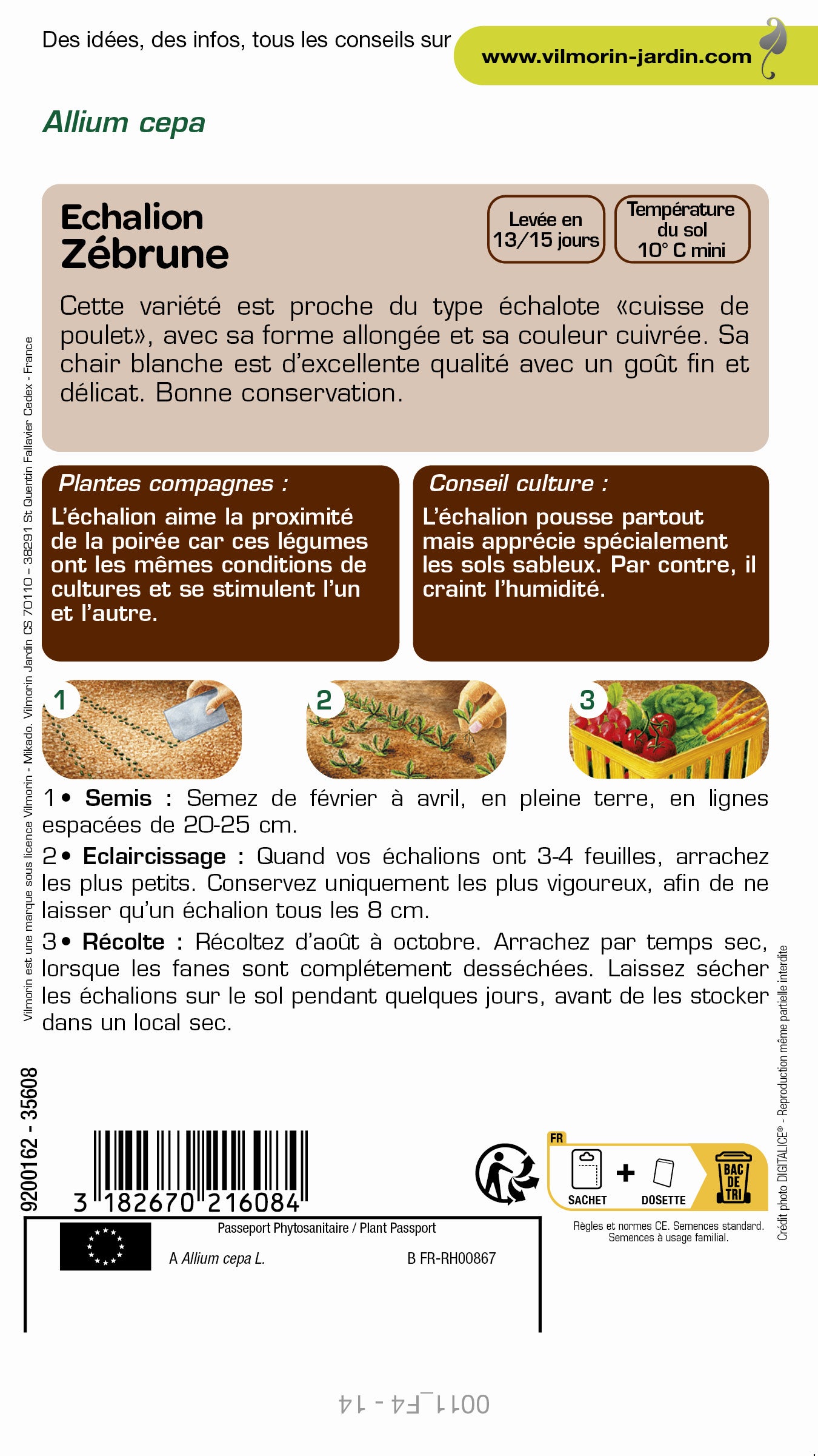 Graines de echalion VILMORIN 2 g - 2