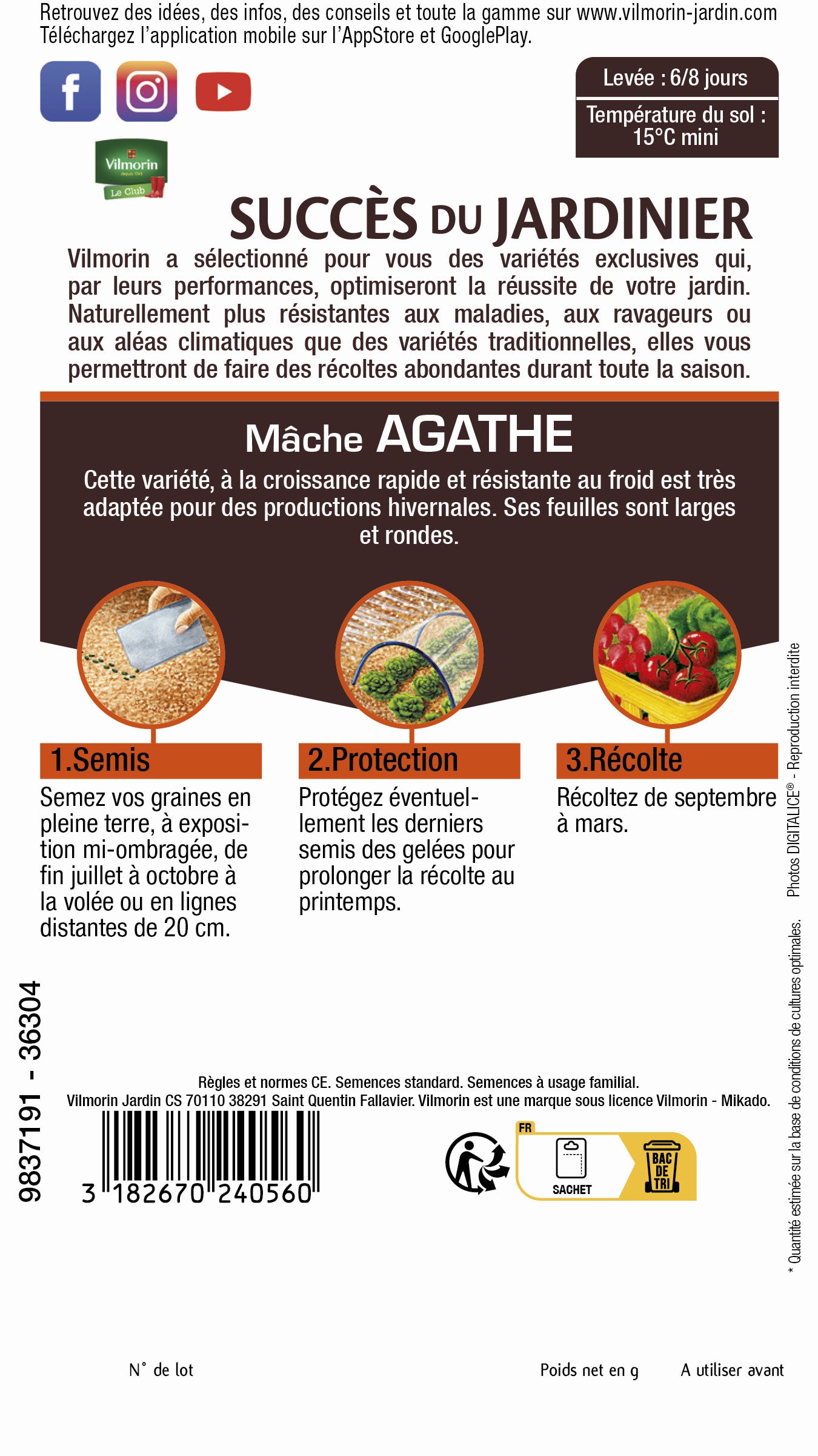 Mâche agathe VILMORIN 4 g - 2