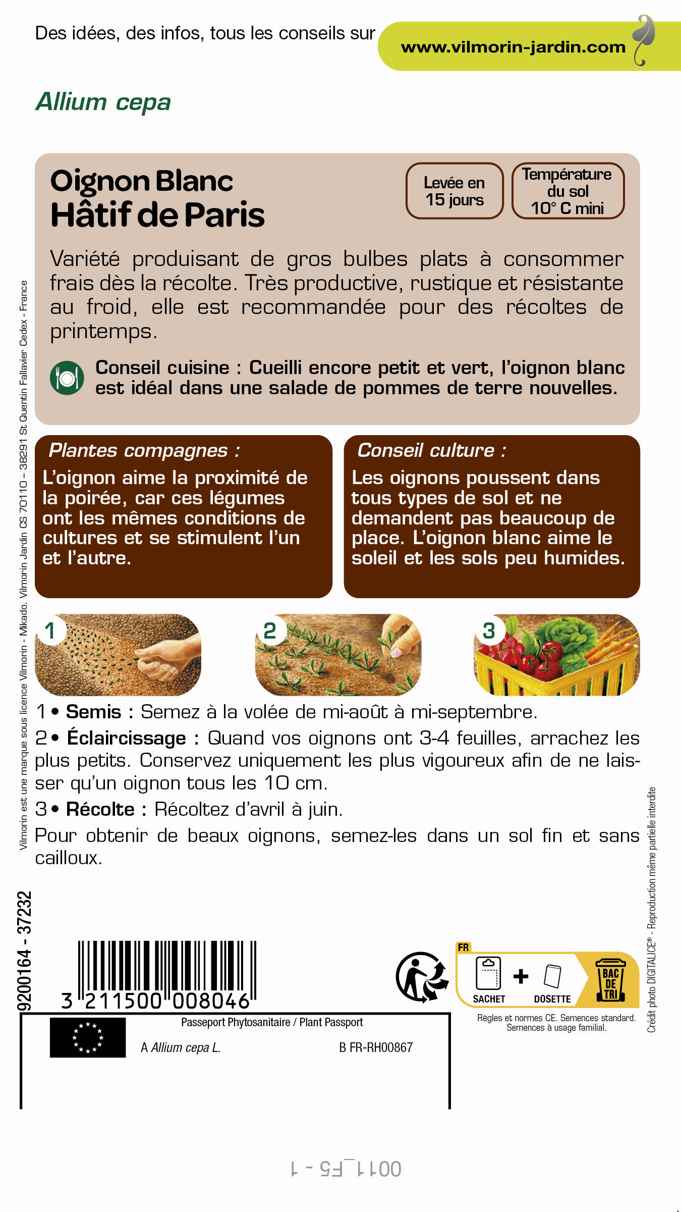 Graines de oignon VILMORIN 3 g - 2