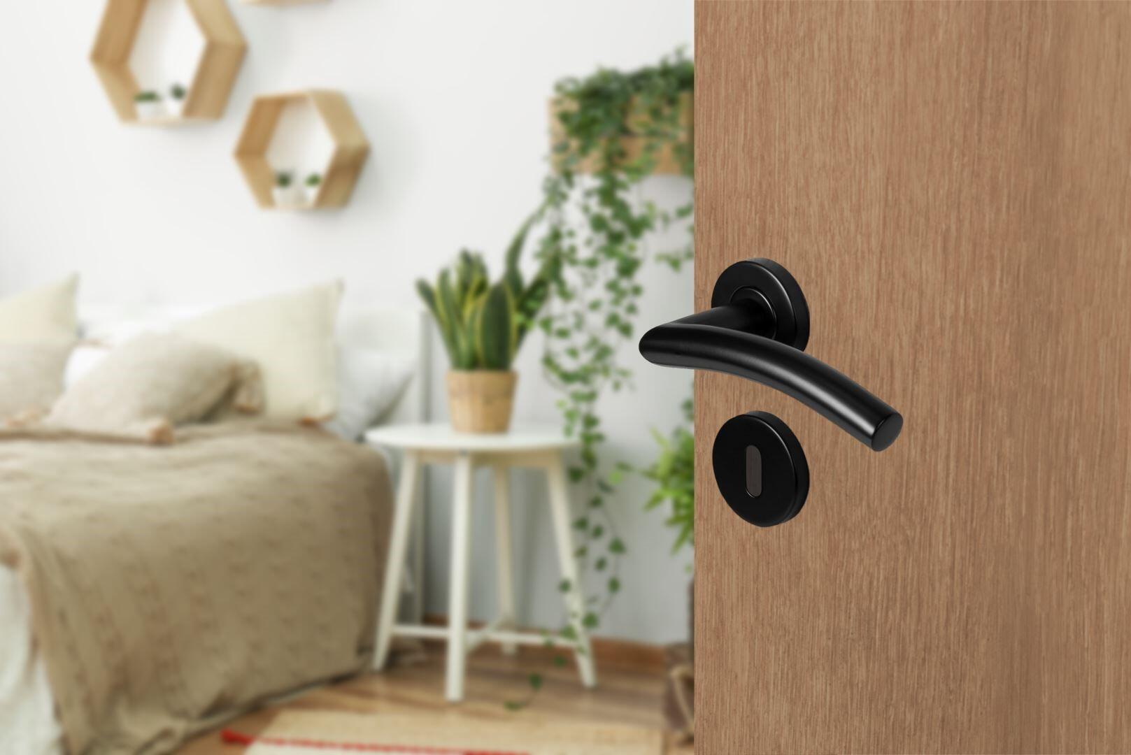 Poignée de porte Carene noir BRICARD, inox | Leroy Merlin