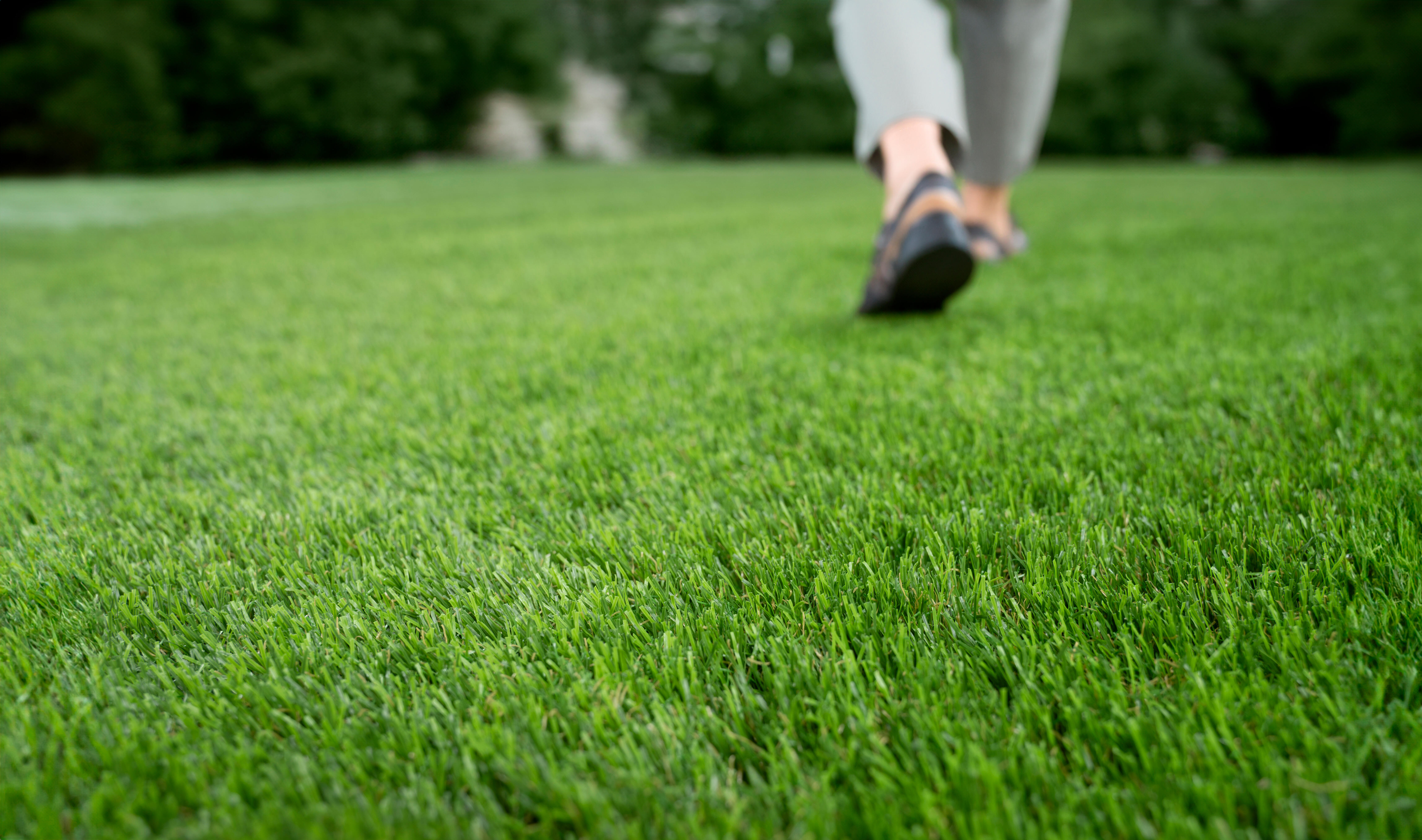 Rolo de relva artificial XAMANEK LAREDO 33MM 2X5M 27300 pontadas m2 e 6000 DTex - 21