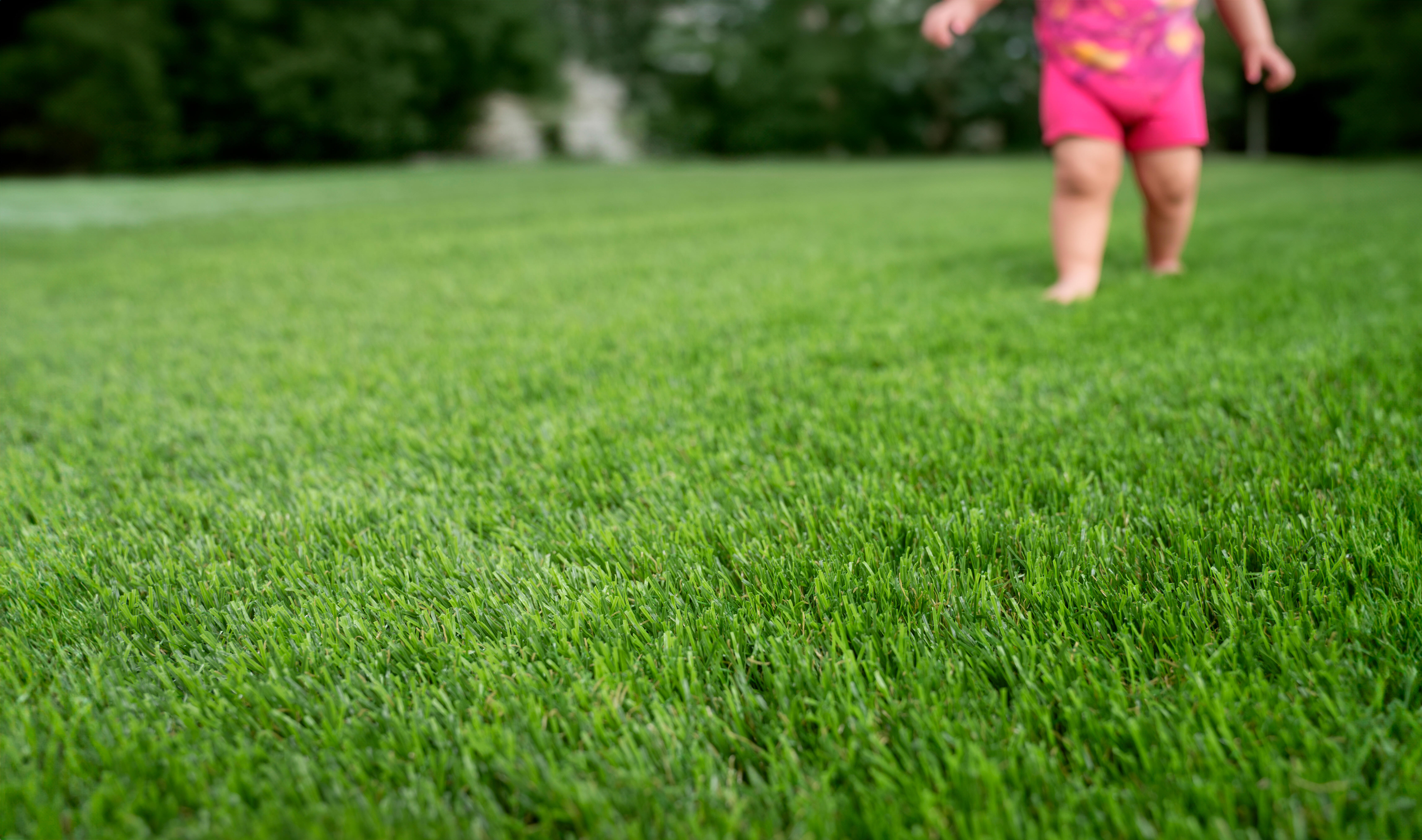 Rolo de relva artificial XAMANEK LAREDO 33MM 2X5M 27300 pontadas m2 e 6000 DTex - 20