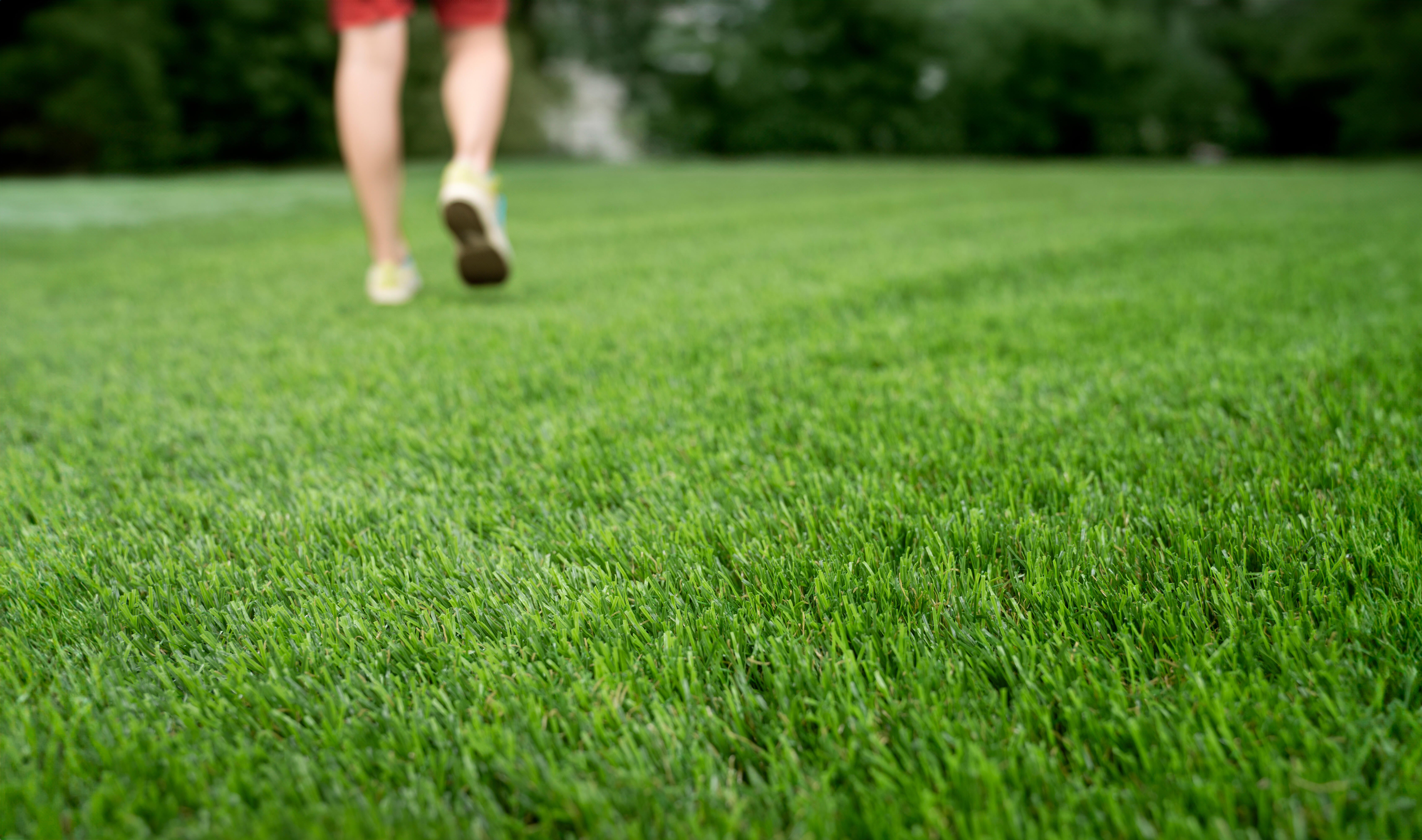 Rolo de relva artificial XAMANEK LAREDO 33MM 2X5M 27300 pontadas m2 e 6000 DTex - 19