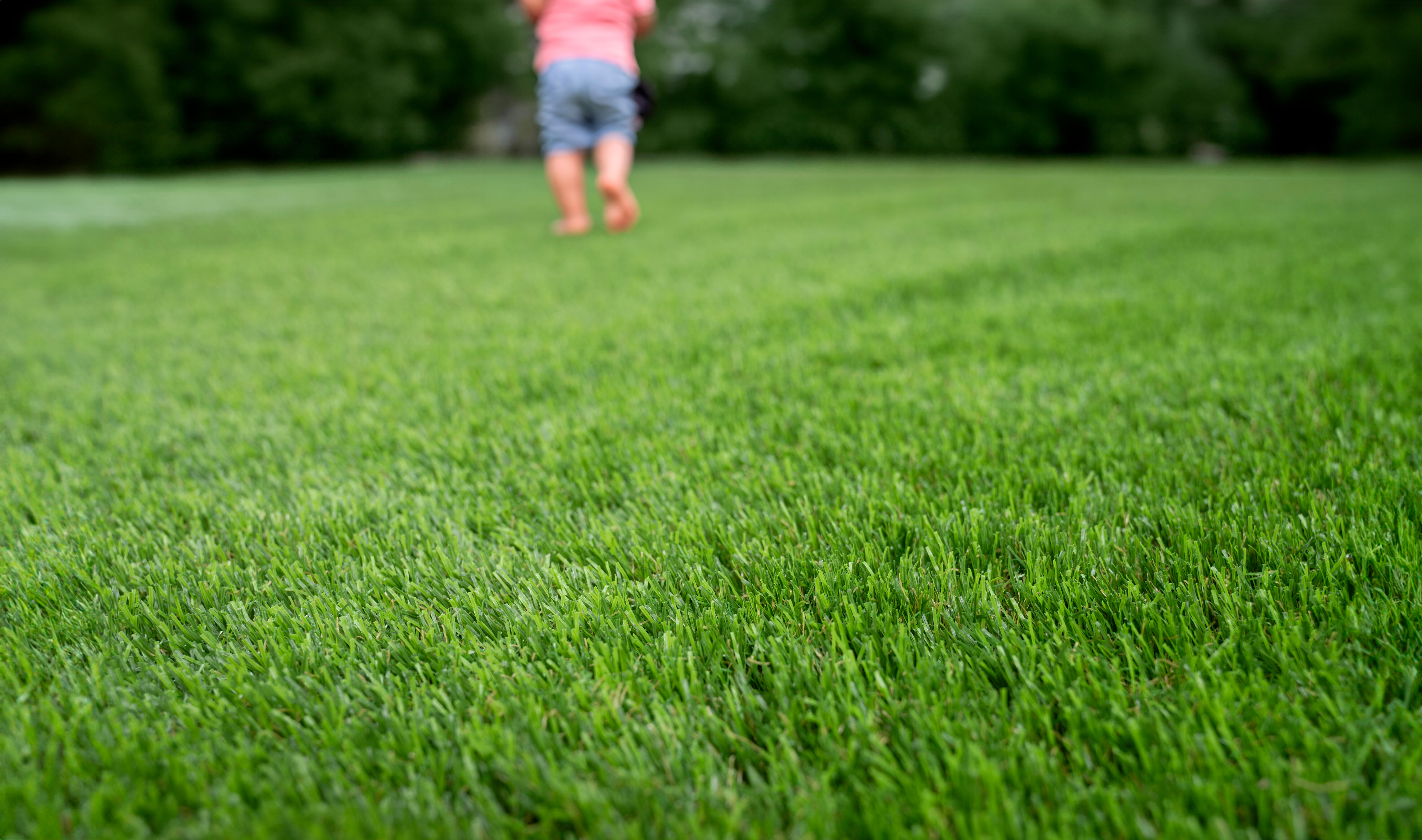 Rolo de relva artificial XAMANEK LAREDO 33MM 2X5M 27300 pontadas m2 e 6000 DTex - 15