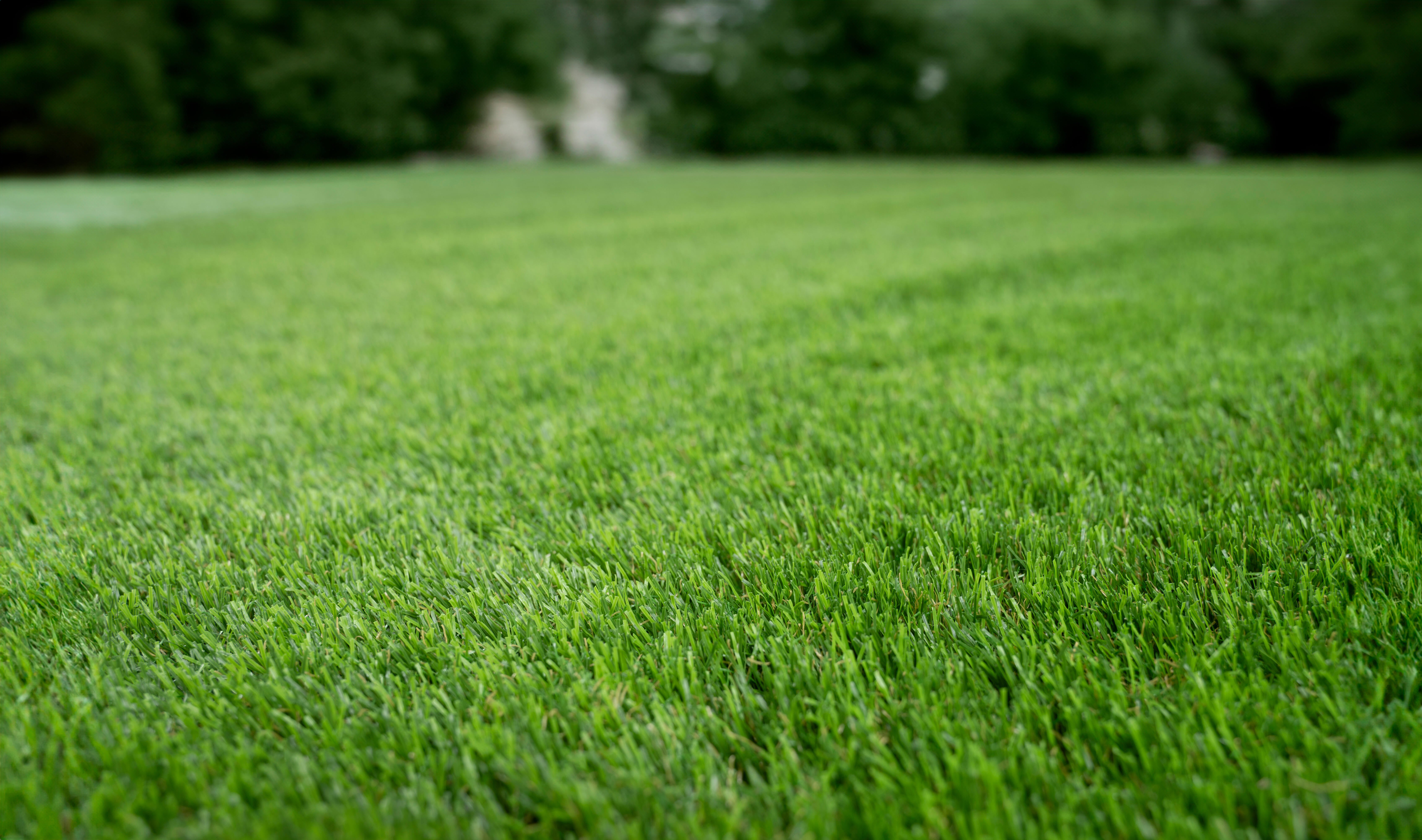 Rolo de relva artificial XAMANEK LAREDO 33MM 2X5M 27300 pontadas m2 e 6000 DTex - 14