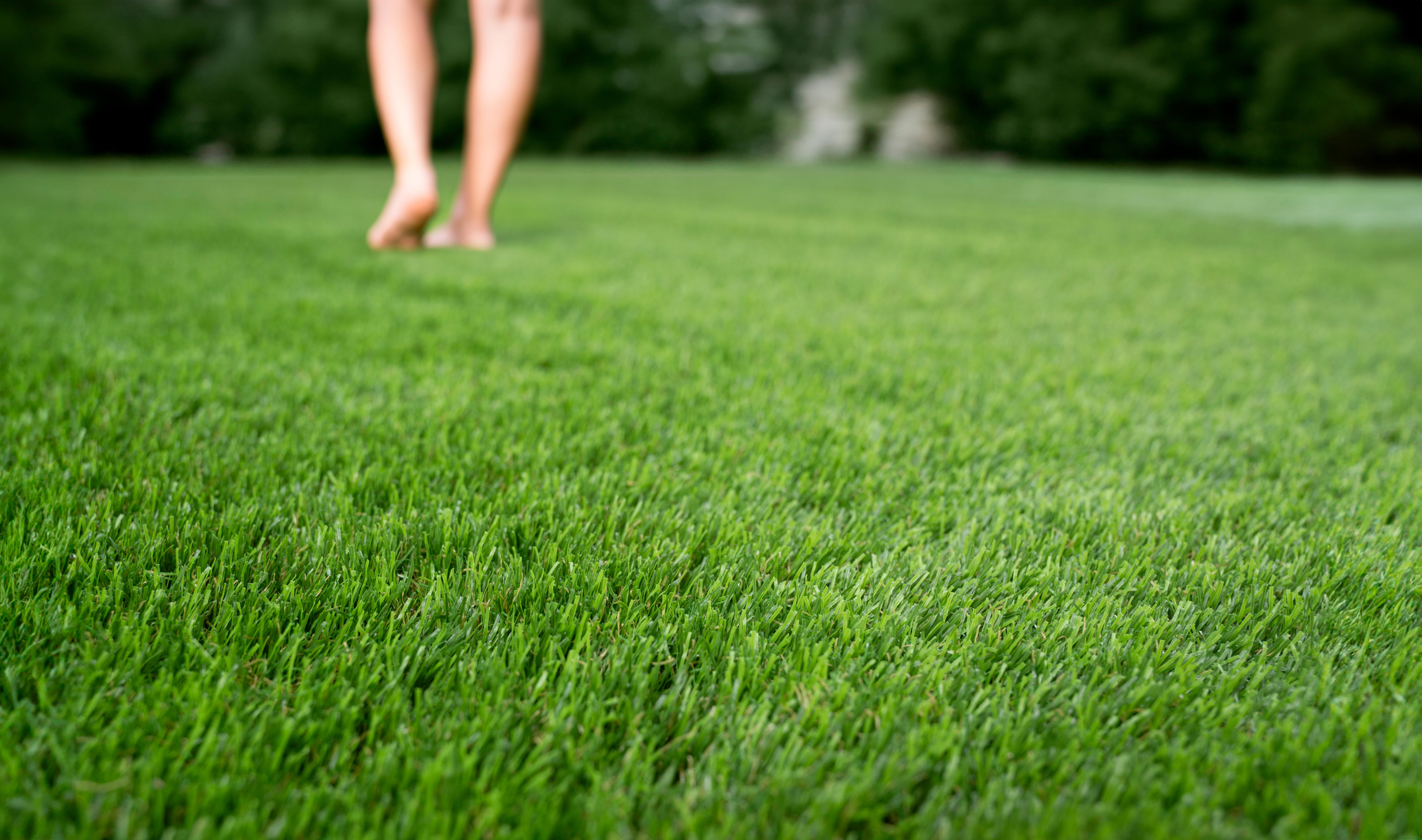 Rolo de relva artificial XAMANEK LAREDO 33MM 2X5M 27300 pontadas m2 e 6000 DTex - 13