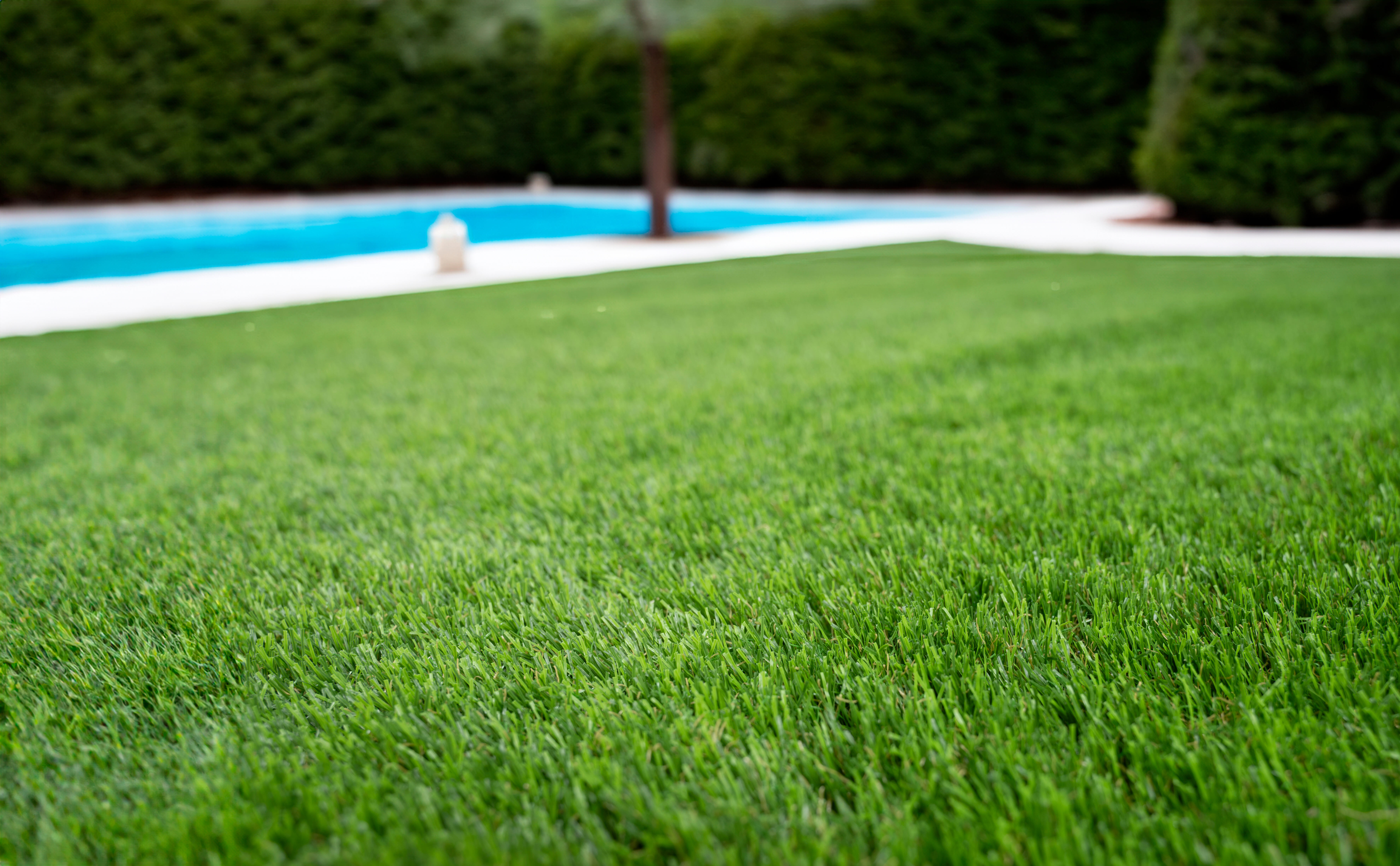 Rolo de relva artificial XAMANEK LAREDO 33MM 2X5M 27300 pontadas m2 e 6000 DTex - 11