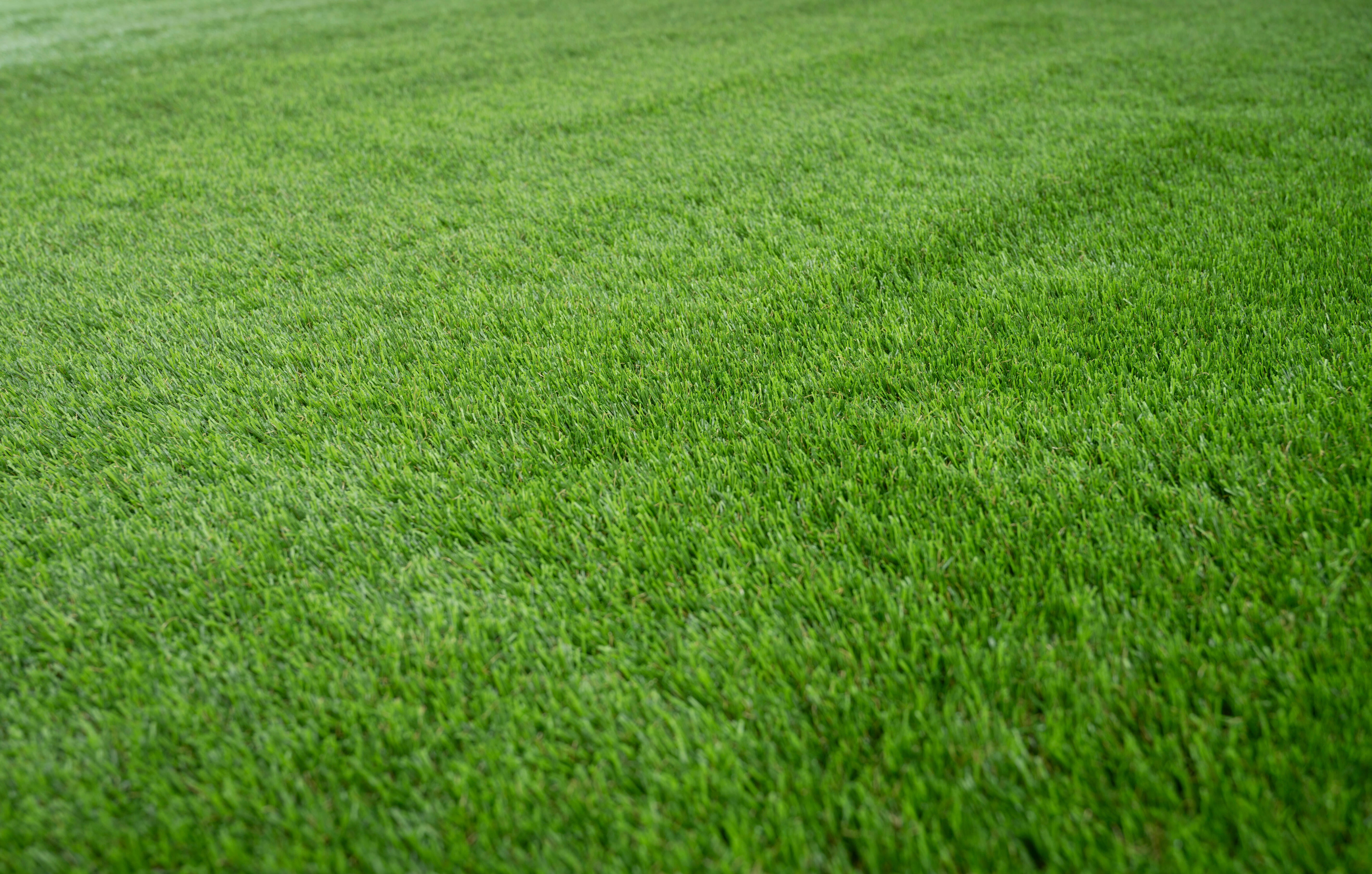 Rolo de relva artificial XAMANEK LAREDO 33MM 2X5M 27300 pontadas m2 e 6000 DTex - 26