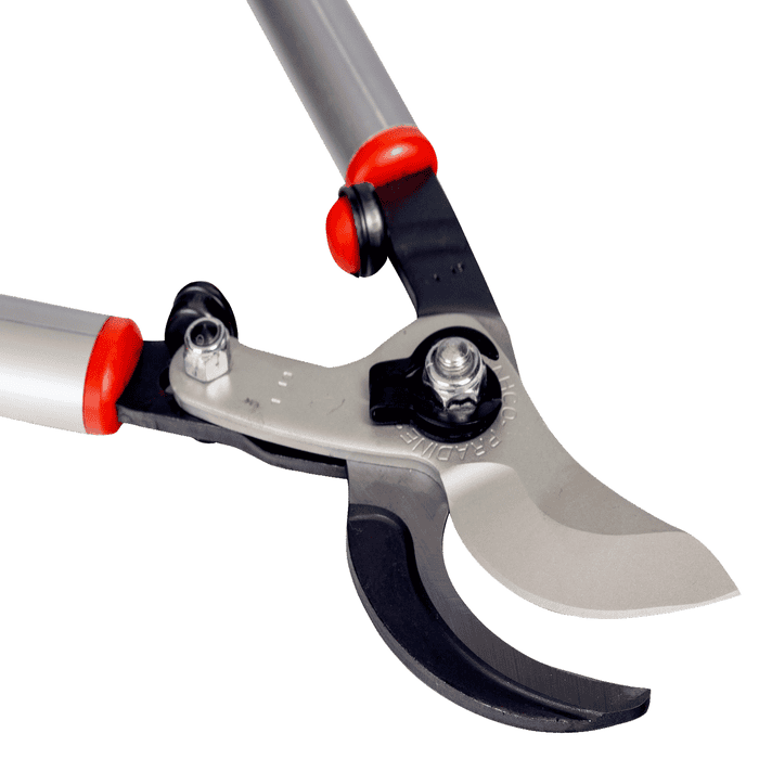 Coupe branche elagueur bahco