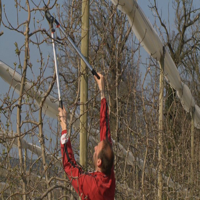 Travail en hauteur coupe branche taille Bahco