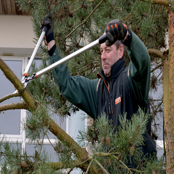 Coupe branche gardena force puissance 