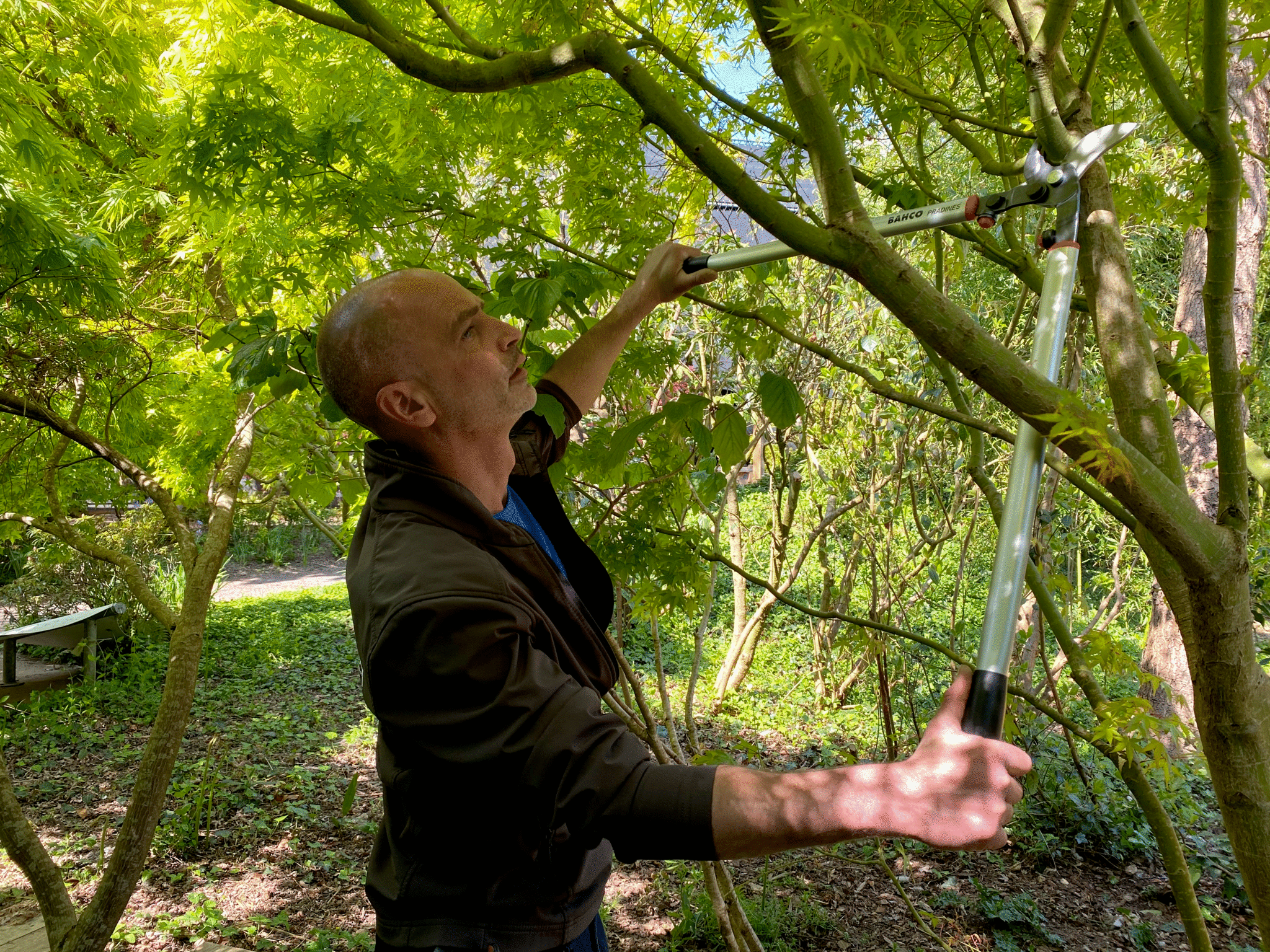 Coupe branche à levier acier antiadhérent BAHCO PRADINES P280-SL-80, Ø 55 mm - 7