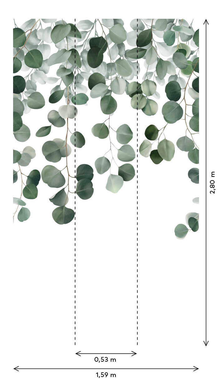 Papier peint panoramique Eucalyptus icarus vert l.159 x H.280 cm - 3