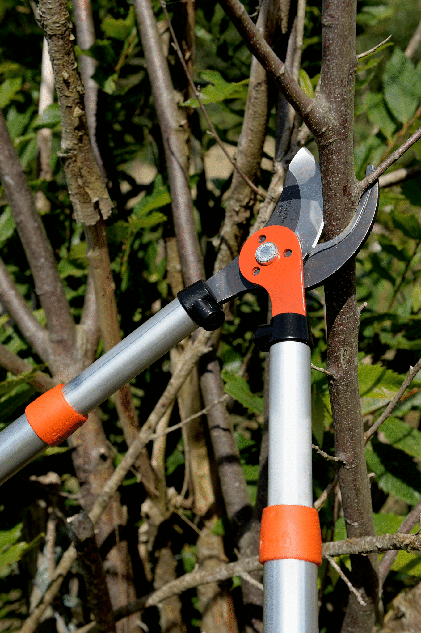 Coupe branche télescopique acier antiadhérent BAHCO PRADINES PG-19-F, Ø 40 mm - 8