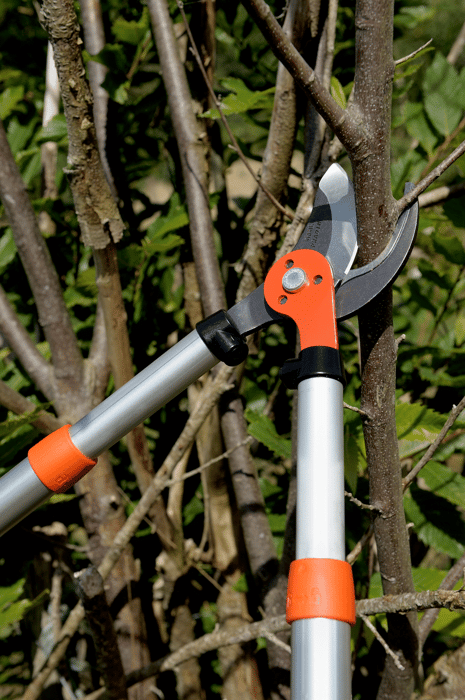 Coupe branche élagueur ebrancheur Bahco
