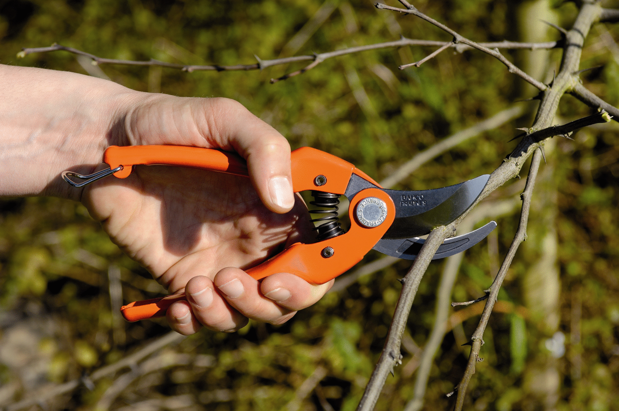 Sécateur à lame franche BAHCO PRADINES P126-19-F, Ø 15 mm - 7