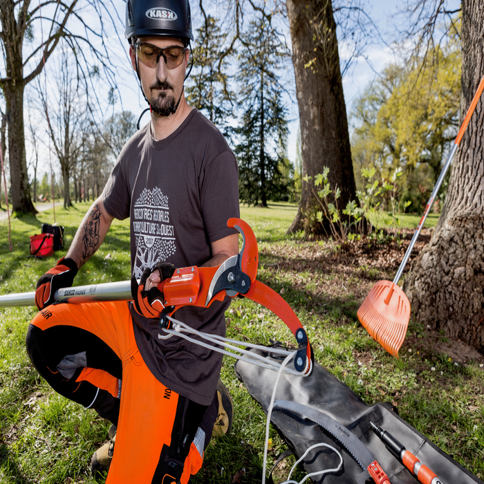 Lames bahco coupe nette précise jardin échenilloir P34