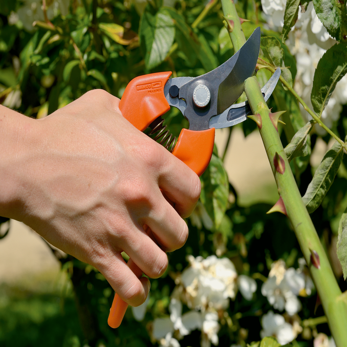 Sécateur PG 12 F coupe étroite lame acier taille arbre branche herbe fleur