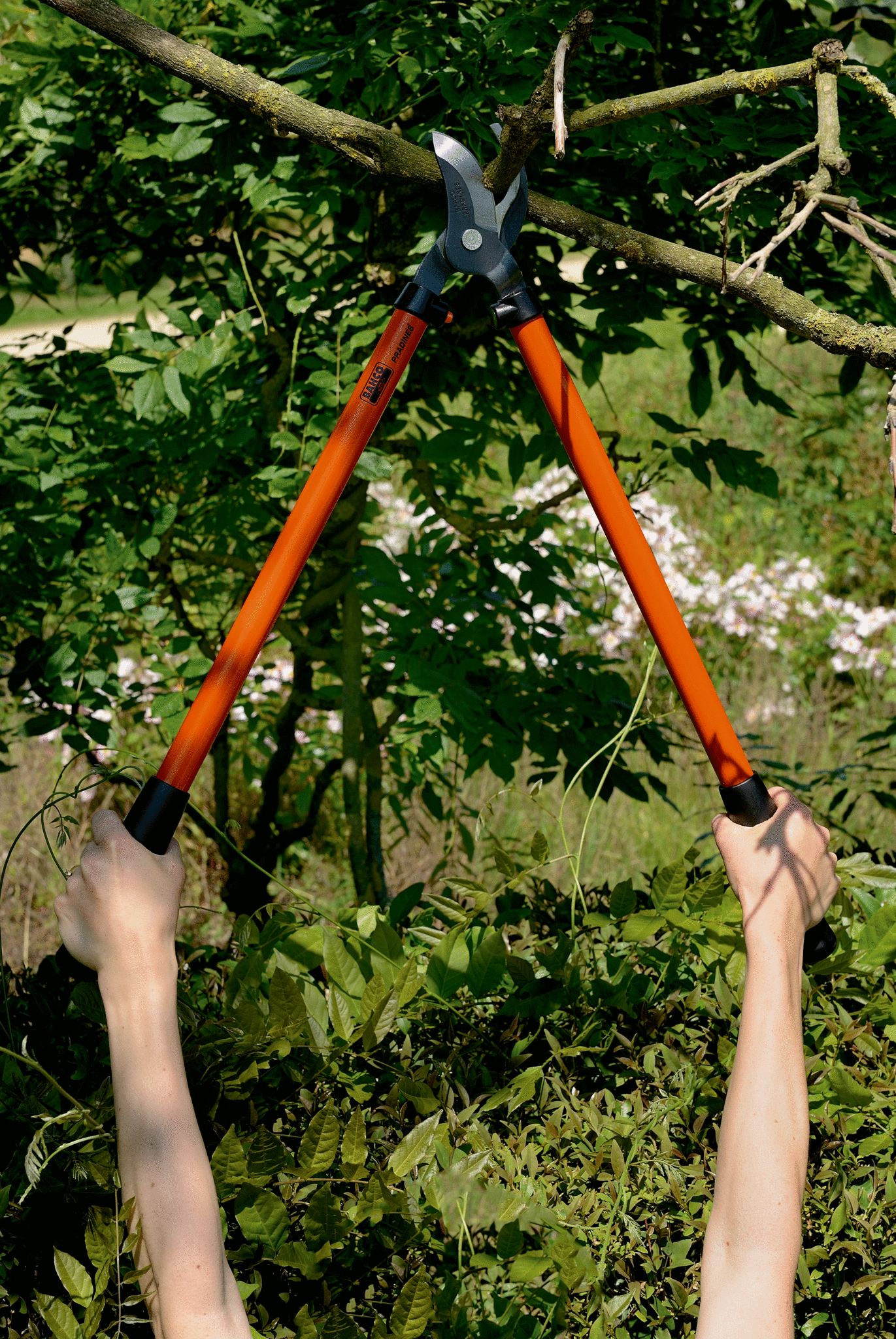 Coupe branche acier trempé BAHCO PRADINES P140-F, Ø 40 mm - 8