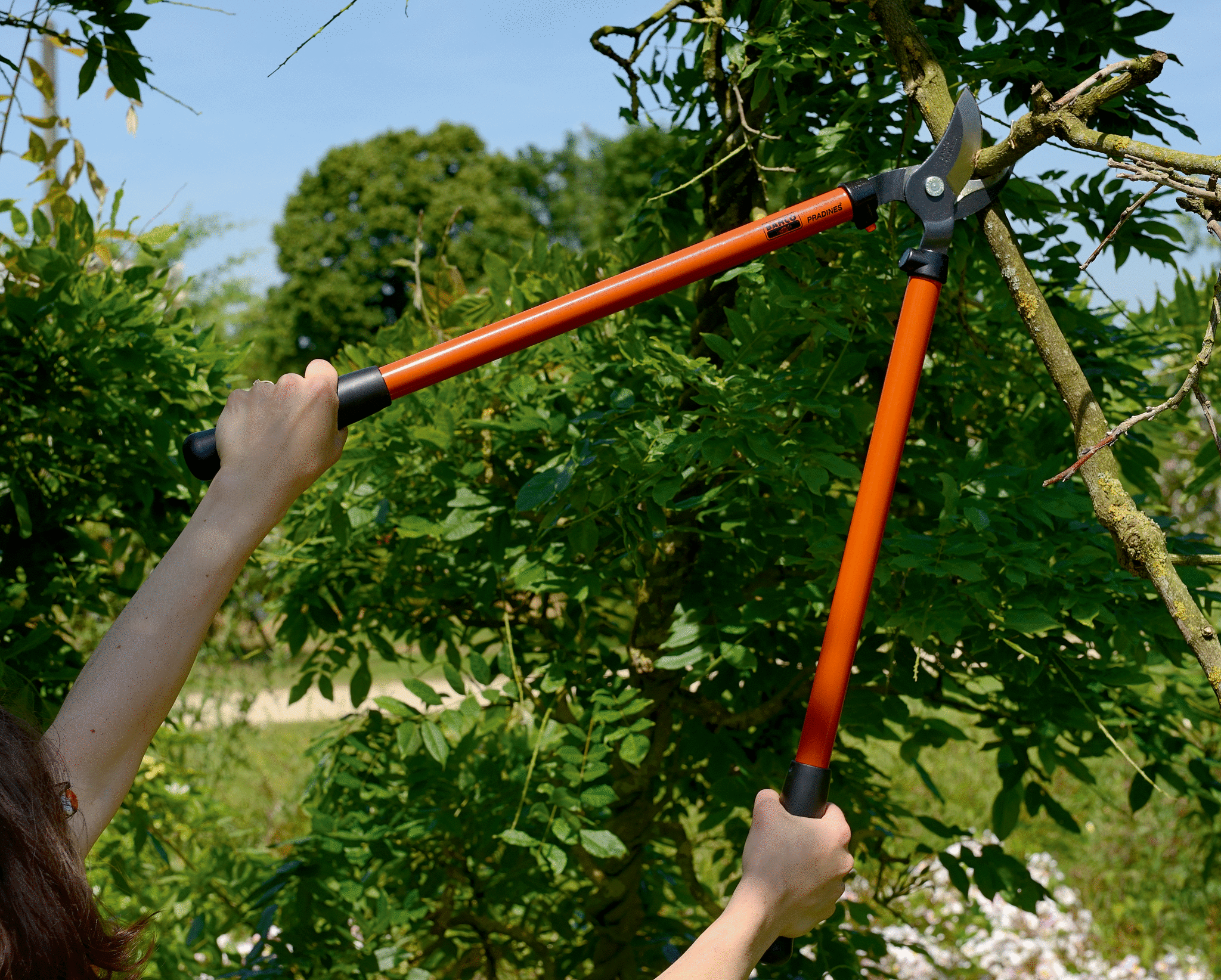 Coupe branche acier trempé BAHCO PRADINES P140-F, Ø 40 mm - 7