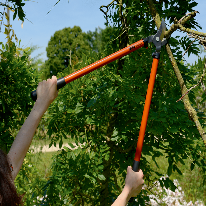 Ebrancheur Bahco robustesse