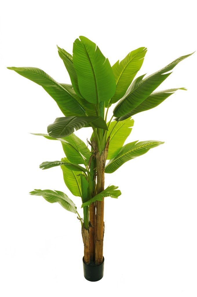 Pianta Artificiale Exo Terra Mandarino - Per Terrari Rettili E Anfibi, Decorazione Naturale