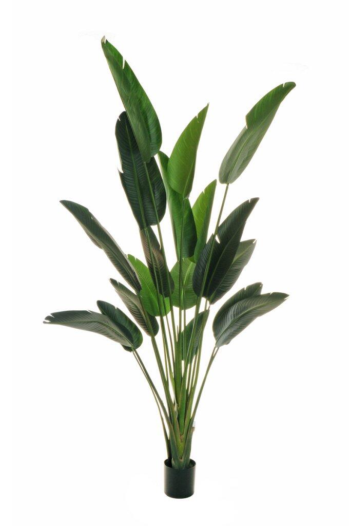 Pianta Artificiale A 5 Rami Con Fiori In Seta – Altezza 36 Cm – Bianco – Decorazione Casa Senza Manutenzione